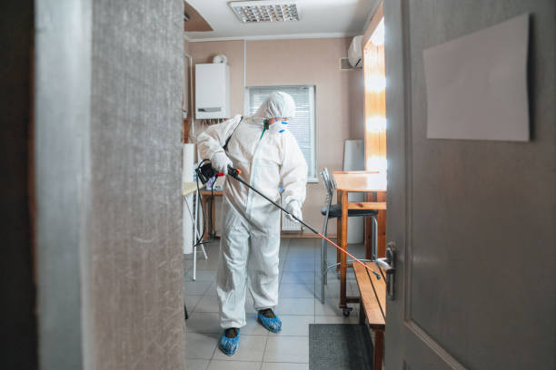 Best Air Quality Testing for Mold Spores  in Westview, FL