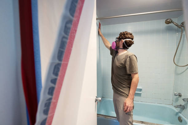 Best Mold Odor Removal Services  in Westview, FL