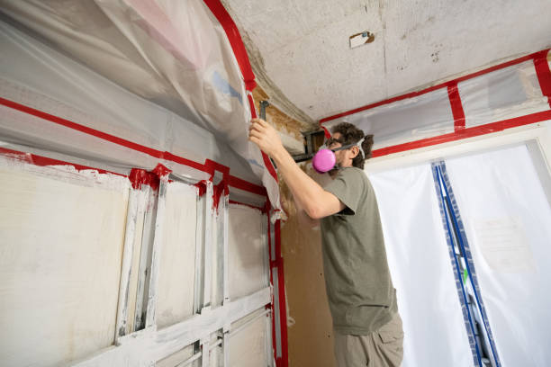 Best Flood Damage  in Westview, FL