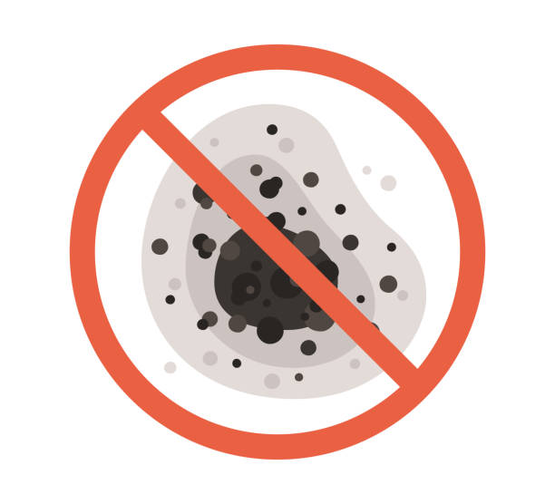 Best Indoor Air Quality Assessment  in Westview, FL
