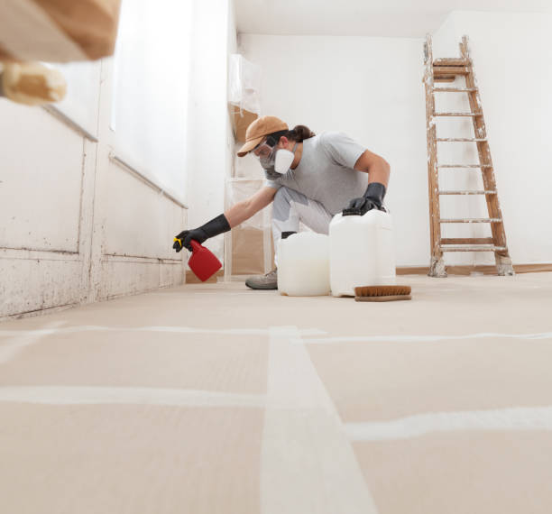 Best Post-Construction Mold Inspection  in Westview, FL